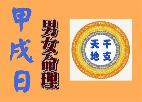 日柱甲戌|六十甲子日柱解读——甲戌